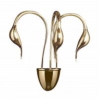 бра lightstar cigno collo 751632 в Пскове