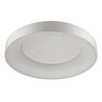 потолочный светодиодный светильник odeon light sole 4062/80cl в Пскове