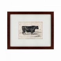 картина: a west highland bull, 1840 в Пскове