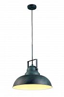 подвесной светильник arte lamp martin a5213sp-1bg в Пскове