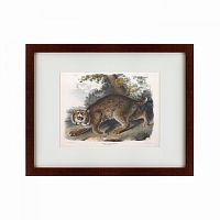 картина: bobcat, 1839 в Пскове