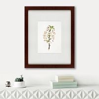 картина: pear tree flowers (pyrus calleryana), 1830 в Пскове