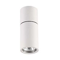 потолочный светильник odeon light duetta 3582/1c в Пскове