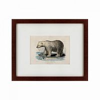 картина: white polar bear on an ice, 1830 в Пскове