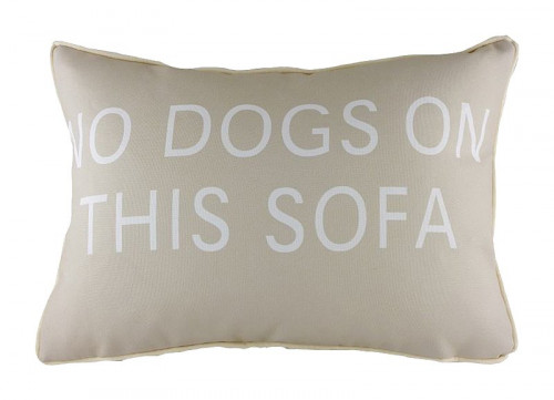 подушка с надписью no dogs on this sofa в Пскове