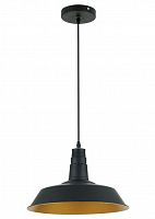 подвесной светильник odeon light kasl 3378/1 в Пскове