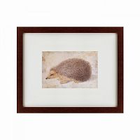 картина: a hedgehog, 1584 в Пскове