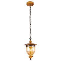 подвесной светильник arte lamp catena a6711sp-1br в Пскове