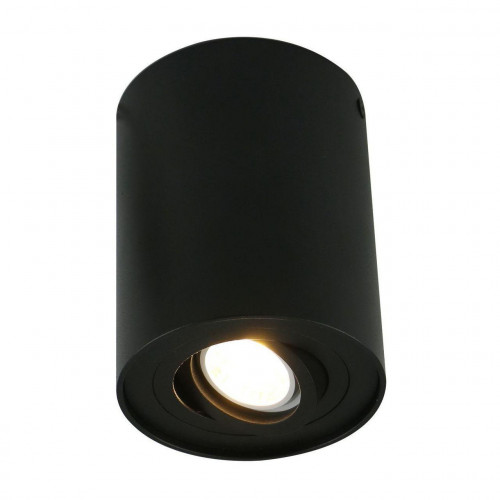 потолочный светильник arte lamp a5644pl-1bk в Пскове