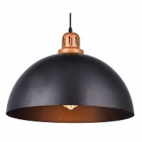 подвесной светильник arte lamp eurica a4249sp-1bk в Пскове