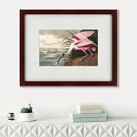 картина: roseate spoonbill, 1827 в Пскове