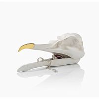 шкатулка для украшений bird skull (белый) в Пскове
