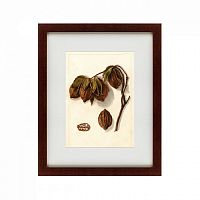 картина: watercolor collection, drawing №3, 1909 в Пскове