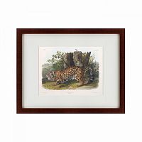 картина: jaguar, 1841 в Пскове