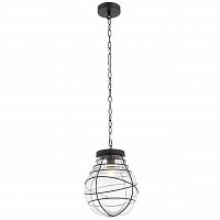 подвесной светильник st luce cocoon sl321.403.01 в Пскове