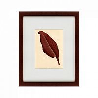 картина: the dark red leaf, 1881 в Пскове