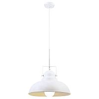 подвесной светильник arte lamp martin a5213sp-1wg в Пскове