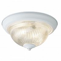 потолочный светильник arte lamp aqua a9370pl-2wh в Пскове