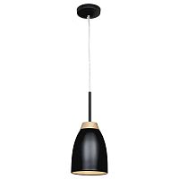 подвесной светильник loft it restor loft4402a-bl в Пскове