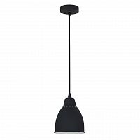 подвесной светильник arte lamp braccio a2054sp-1bk в Пскове