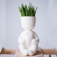 набор для выращивания eco романтик в Пскове