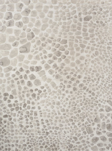 ковер ivory 64227i6575 120x170 в Пскове