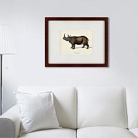 картина: rhinoceros ancienne gravure, 1849 в Пскове