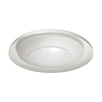 потолочный светодиодный светильник odeon light benso 4623/48cl в Пскове