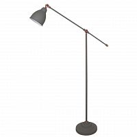 торшер arte lamp braccio a2054pn-1gy в Пскове