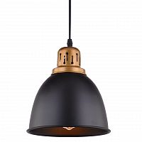 подвесной светильник arte lamp eurica a4245sp-1bk в Пскове