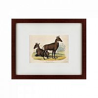 картина: two nilgais, 1830 в Пскове