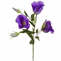 лизиантус фиолетовый 78 см (36) в Пскове