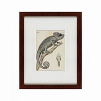 картина: chameleon, 1706 в Пскове