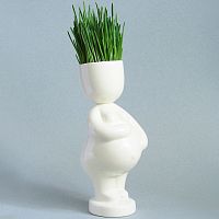 набор для выращивания eco мама в Пскове