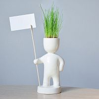 набор для выращивания eco знаменосец в Пскове