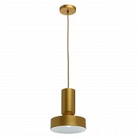 подвесной светильник mw-light элвис 1 715010201 в Пскове