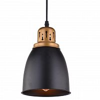 подвесной светильник arte lamp eurica a4248sp-1bk в Пскове