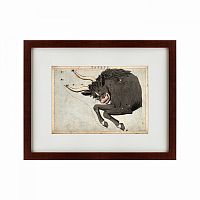 картина: signs of zodiac taurus, 1825 в Пскове