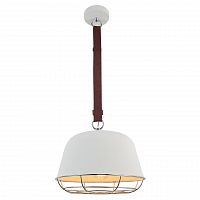 подвесной светильник lussole loft grlsp-8043 в Пскове