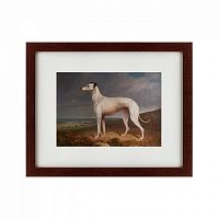 картина: portrait of a greyhound, 1744 в Пскове