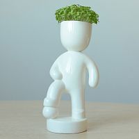 набор для выращивания eco футболист в Пскове