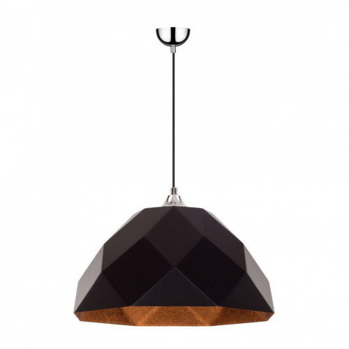 дизайнерский подвесной светильник spot light rich 1030758 в Пскове