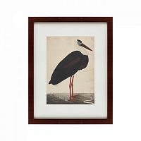 картина: black stork in a landscape, индия, 1780 в Пскове