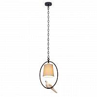 подвесной светильник loft it loft1029a-1 в Пскове
