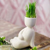 набор для выращивания eco русалка в Пскове
