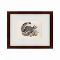 картина: the squirrel, 1879 в Пскове