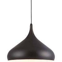 подвесной светильник arte lamp cappello a3266sp-1bk в Пскове