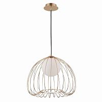 подвесной светильник maytoni polly mod542pl-01g в Пскове