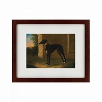 картина: portrait of a greyhound called pompon, 1746 в Пскове
