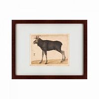 картина: moose, 1560 в Пскове